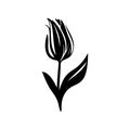 Tulip Icon, Flower Symbol, Daisy Sign, Floral Silhouette, Blossom Graphic Element, Tulip Outline Vector Illustration