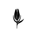 Tulip Icon, Flower Symbol, Daisy Sign, Floral Silhouette, Blossom Graphic Element, Tulip Outline Vector Illustration