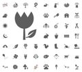 Tulip icon. Spring vector illustration icon set. Royalty Free Stock Photo