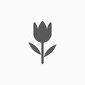 Tulip icon, flower, nature, plant