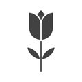 Tulip icon vector image.