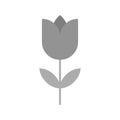 Tulip icon vector image.