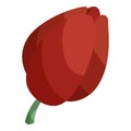 Tulip istanbul logo icon, cartoon style