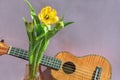 A bouquet of beautiful tulips on a lilac background and a fragment of a musical instrument ukulele.