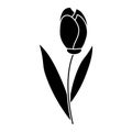 Tulip leaf natural floral pictogram