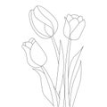 tulip line art flower coloring page design for printing template continuous black stroke