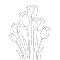 tulip line art flower coloring page design for printing template continuous black stroke