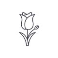 Tulip line icon concept. Tulip flat vector sign, symbol, illustration.