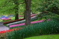 Tulip patterns on hill in the Keukenhof in spring 2022 in Lisse, the Netherlands