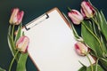 Tulip Pink flower Bouquet and Blank White Paper Card on adark Blue Background with Copy space. Flat Lay. Royalty Free Stock Photo