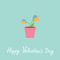 Tulip in pot. Happy Valentines Day card. Royalty Free Stock Photo