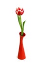 tulip in red vase isolated on white Royalty Free Stock Photo