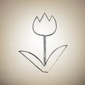 Tulip sign. Vector. Brush drawed black icon at light brown background. Illustration.