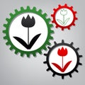 Tulip sign. Vector. Three connected gears with icons at grayish