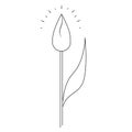 Tulip. Sketch. Closed bud. The delicate flower shines. Vector illustration. Coloring book for children. Nice plant. Doodle style.