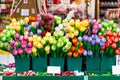 Tulip souvenirs for sale at Dutch flower market, Amsterdam, Netherlands Royalty Free Stock Photo