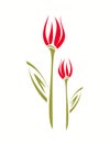 Tulip stylized isolated symbol, children style.