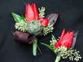Tulip Succulent Wedding Boutonierre Royalty Free Stock Photo