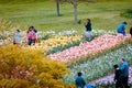 Tulip time festivities in Holland Michigan