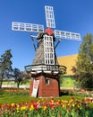Windmill, Veldheer Tulip Gardens, Holland, MI