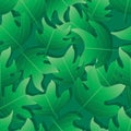 Tulip tree leaf only seamless pattern