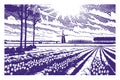 Tulip Valley with Dutch landscape, monochrome retro style. Vector illustration with tulip fields and a landscape with a windmill Royalty Free Stock Photo