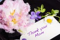 Tulip, violet and daisy with card Thank you mom Royalty Free Stock Photo
