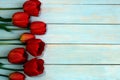 Red tulips on a wooden background with a place for inscription