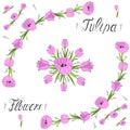 Tulipa vector illustration hand draw celebrate