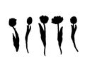 Set of isolated silhouette Tulip in 30 styles. Cute hand drawn flower vector illustration in white outline