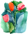 Tulips