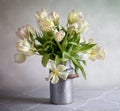 Tulips Royalty Free Stock Photo