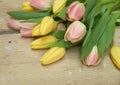 Tulips