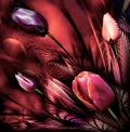 Tulips abstrackt Royalty Free Stock Photo