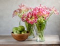 Tulips and Apples Royalty Free Stock Photo