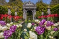 Tulips at Arundel Castle Gardens in West Sussex, UK Royalty Free Stock Photo