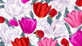 Botanical spring background with tulips. White, pink, red vector flowers.