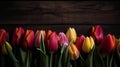 tulips background with empty copyspace Colorful background or banner for a flower shop, garden or anything plant related,
