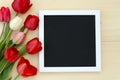 Tulips with blank black chalkboard picture frame on a light wooden background. romantic picture. Royalty Free Stock Photo