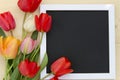 Tulips with blank black chalkboard picture frame on a light wooden background. romantic picture. Royalty Free Stock Photo