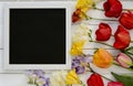 Tulips with blank black chalkboard picture frame on white wooden background. romantic picture. Royalty Free Stock Photo