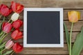 Tulips with blank black chalkboard picture frame on wooden background. romantic picture. Royalty Free Stock Photo