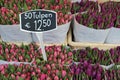 Tulips at the Bloemenmarkt (Flower Market) Amsterdam Royalty Free Stock Photo