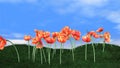 Tulips blooming on green meadow and animated clouds on the background,time-lapse, stock footage