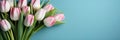 tulips on Blue background, copy space Card for Mothers day, 8 March, Happy Easter. Waiting for spring Royalty Free Stock Photo