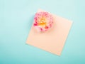 Tulips on a blue textural background with a letter envelope. Flat lay, copy space, top view. Flowers composition Royalty Free Stock Photo