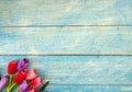 Tulips on blue wood background Royalty Free Stock Photo