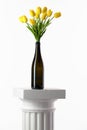 Tulips in a bottle. Royalty Free Stock Photo