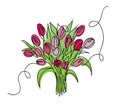 Tulips bouquet, bloom vector sketch, doodle.