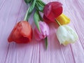 Tulips bouquet fresh holiday on a pink wooden springtime delicate background march romantic